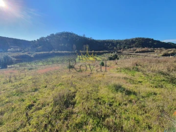 Terreno para Venda em Salir de Matos