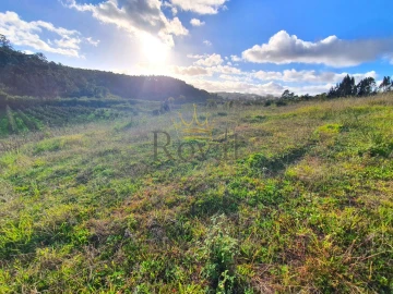 Terreno para Venda em Salir de Matos