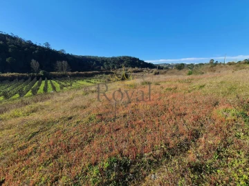Terreno para Venda em Salir de Matos
