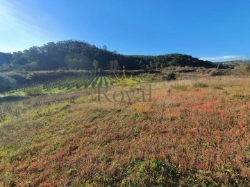 Terreno para Venda em Salir de Matos