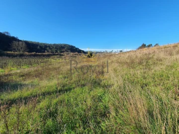 Terreno para Venda em Salir de Matos