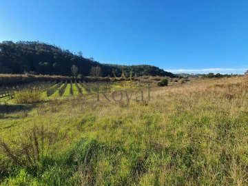 Terreno para Venda em Salir de Matos
