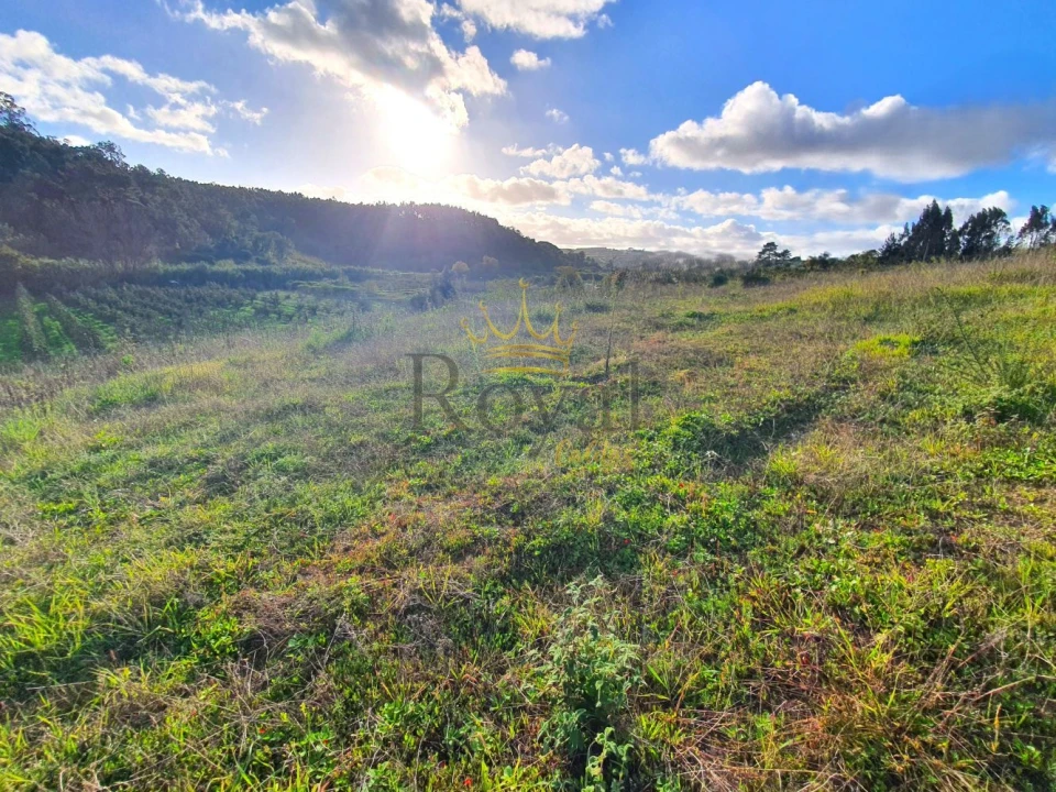 Terreno para Venda em Salir de Matos Foto 7