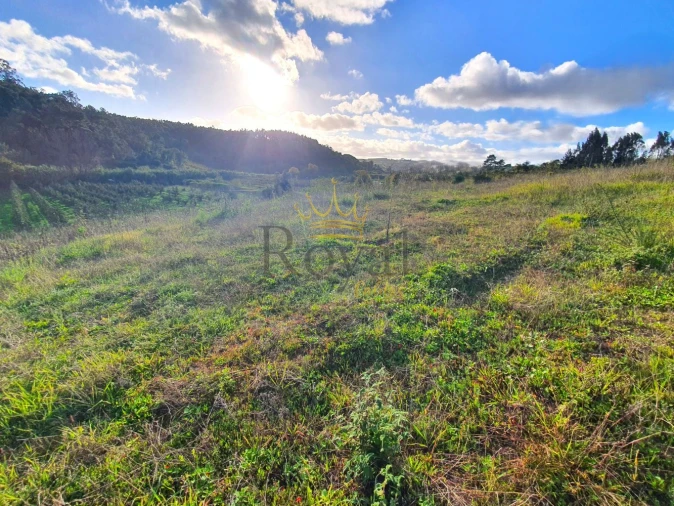 Terreno para Venda em Salir de Matos Foto 7