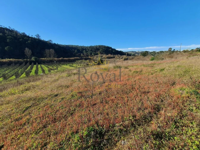 Terreno para Venda em Salir de Matos Foto 2