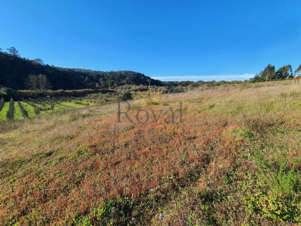 Terreno para Venda em Salir de Matos Foto 1