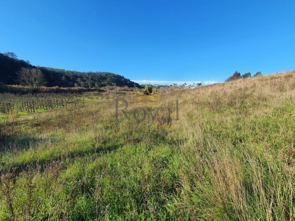 Terreno para Venda em Salir de Matos Foto 5