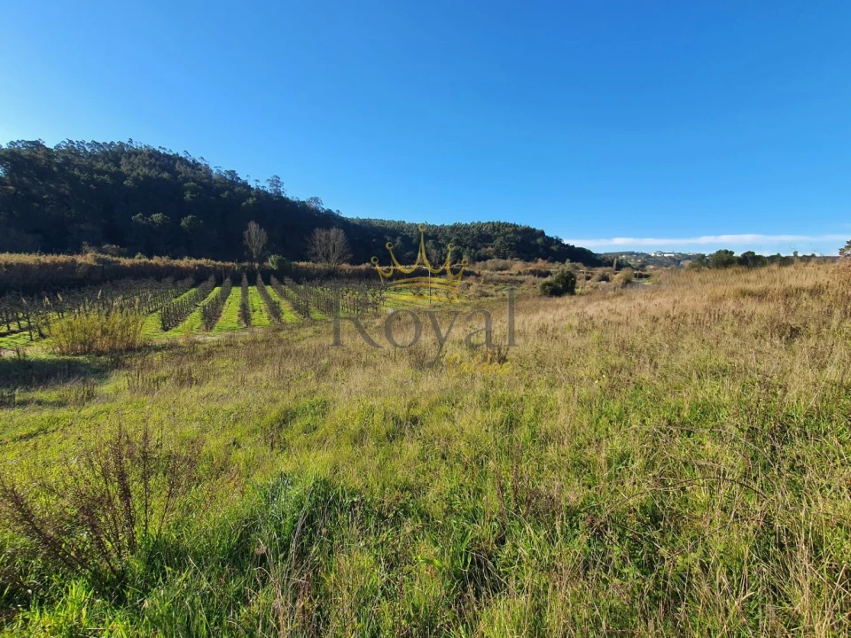 Terreno para Venda em Salir de Matos Foto 4