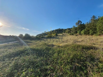 Terreno para Venda em Santa Maria, São Pedro e Sobral da Lagoa