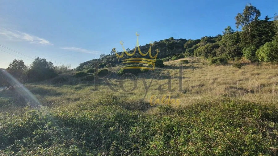 Terreno para Venda em Santa Maria, São Pedro e Sobral da Lagoa