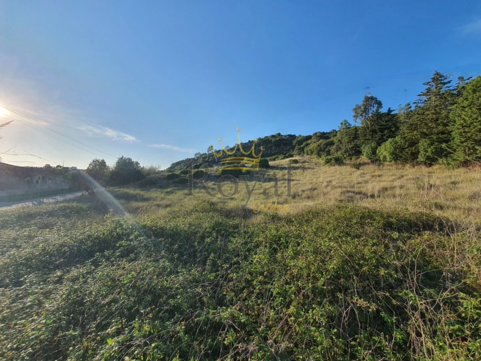 Terreno para Venda em Santa Maria, São Pedro e Sobral da Lagoa Foto 1