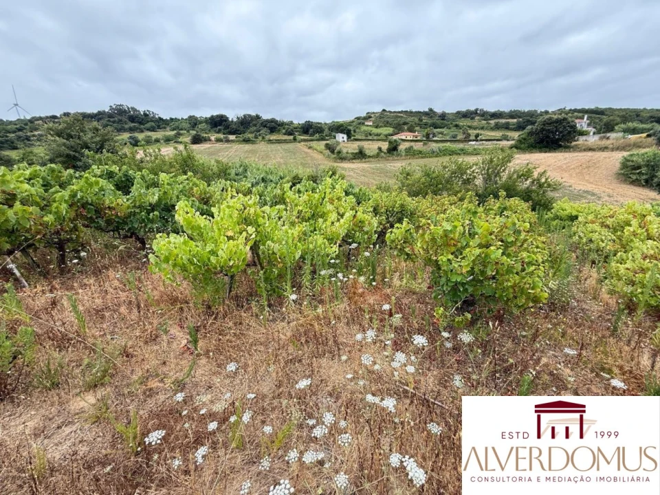 Terreno para Venda em Carvoeira e Carmões Foto 1