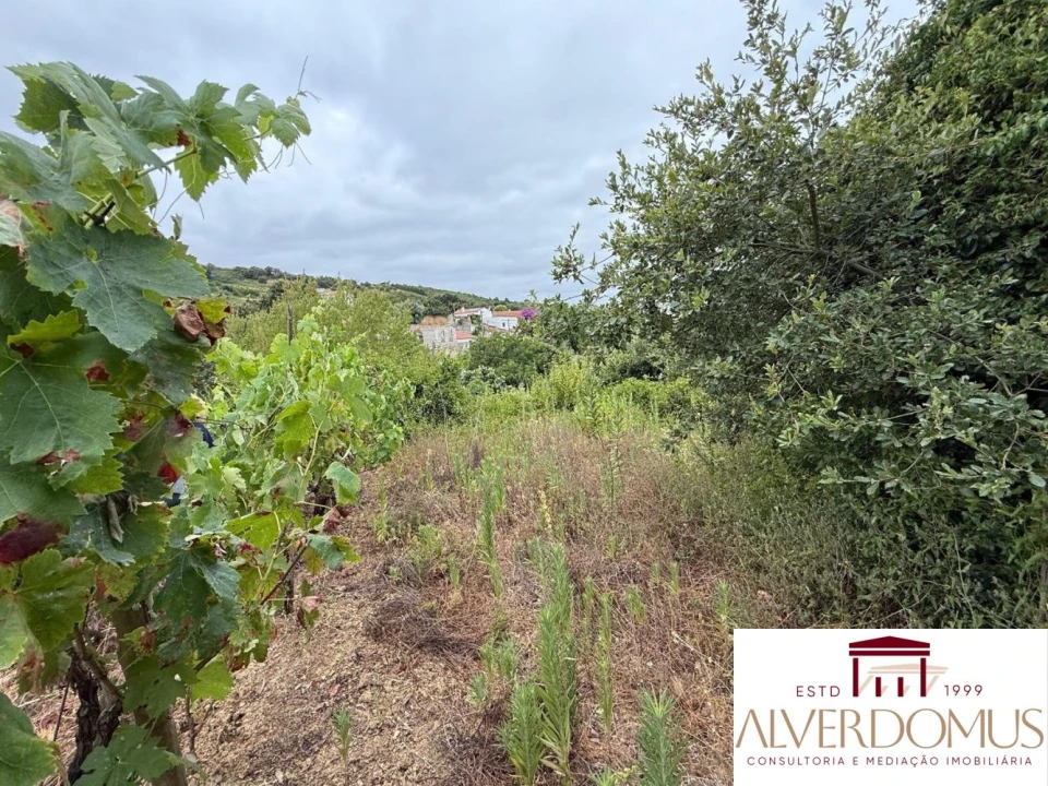 Terreno para Venda em Carvoeira e Carmões Foto 11