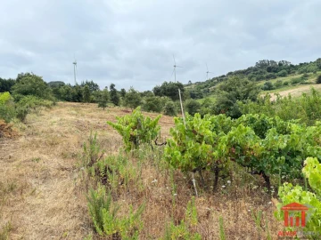 Terreno para Venda em Carvoeira e Carmões