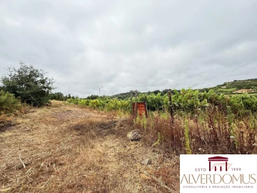 Terreno para Venda em Carvoeira e Carmões