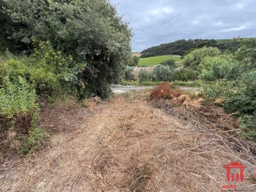 Terreno para Venda em Carvoeira e Carmões