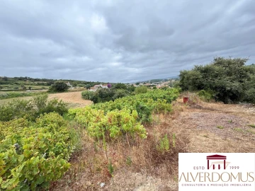 Terreno para Venda em Carvoeira e Carmões