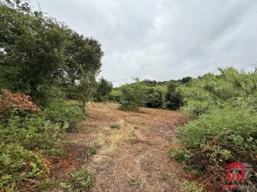 Terreno para Venda em Carvoeira e Carmões