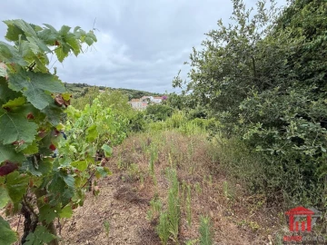 Terreno para Venda em Carvoeira e Carmões