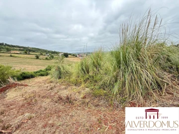 Terreno para Venda em Carvoeira e Carmões