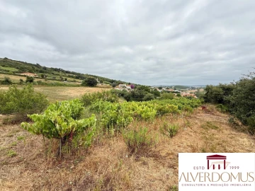 Terreno para Venda em Carvoeira e Carmões