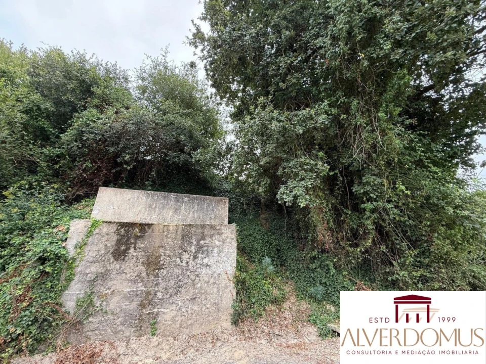 Terreno para Venda em Carvoeira e Carmões Foto 20
