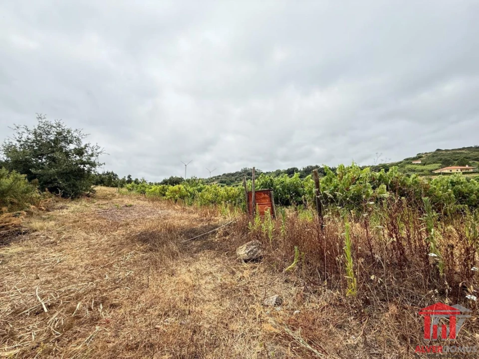 Terreno para Venda em Carvoeira e Carmões Foto 16