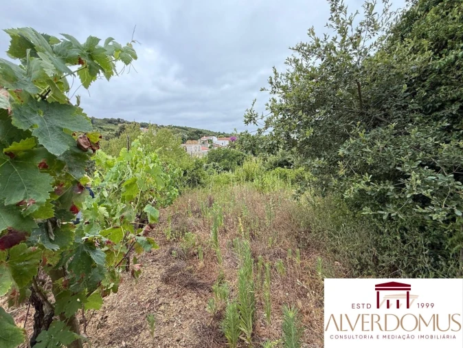 Terreno para Venda em Carvoeira e Carmões Foto 11