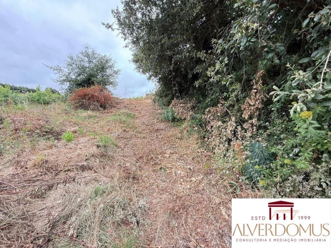 Terreno para Venda em Carvoeira e Carmões Foto 9