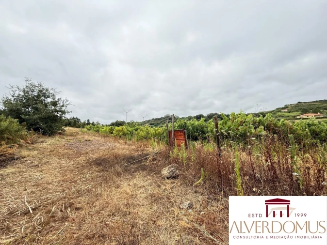 Terreno para Venda em Carvoeira e Carmões Foto 16