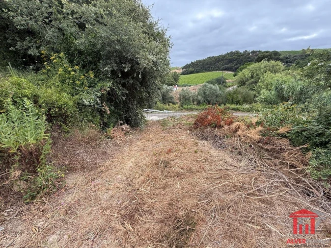 Terreno para Venda em Carvoeira e Carmões Foto 21