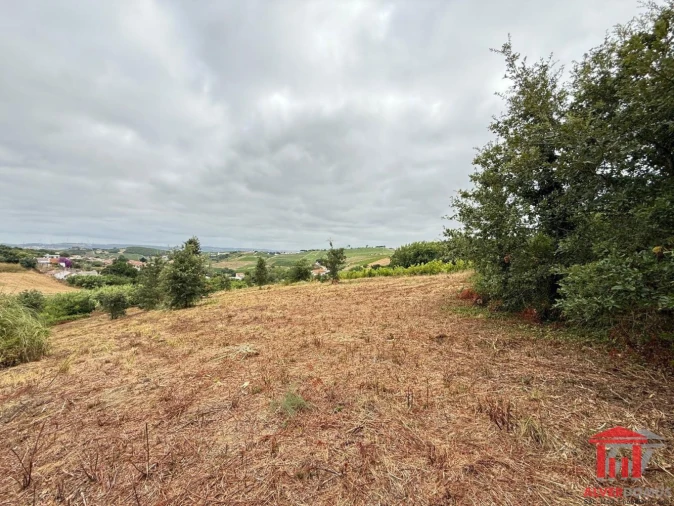 Terreno para Venda em Carvoeira e Carmões Foto 18