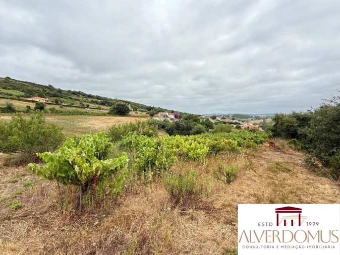 Terreno para Venda em Carvoeira e Carmões Foto 7