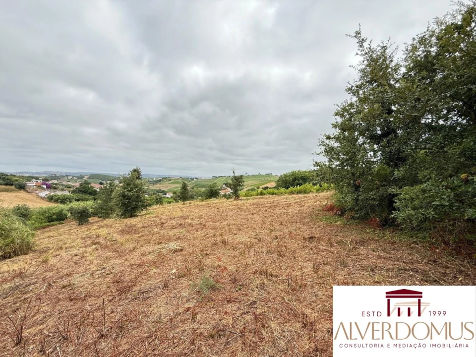 Terreno para Venda em Carvoeira e Carmões Foto 18
