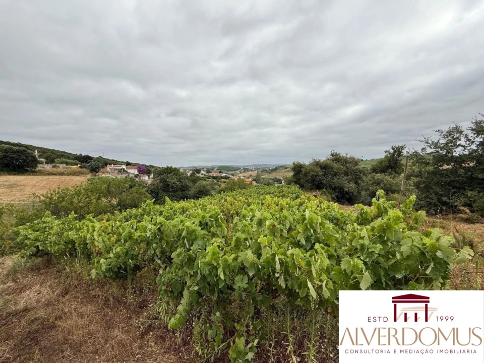 Terreno para Venda em Carvoeira e Carmões Foto 6