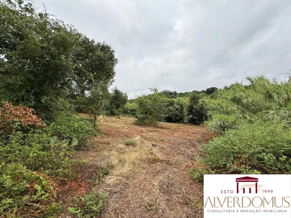 Terreno para Venda em Carvoeira e Carmões Foto 12