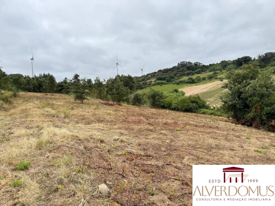 Terreno para Venda em Carvoeira e Carmões Foto 17