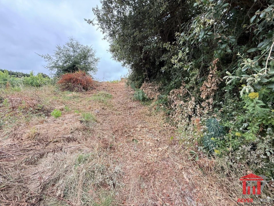 Terreno para Venda em Carvoeira e Carmões Foto 9