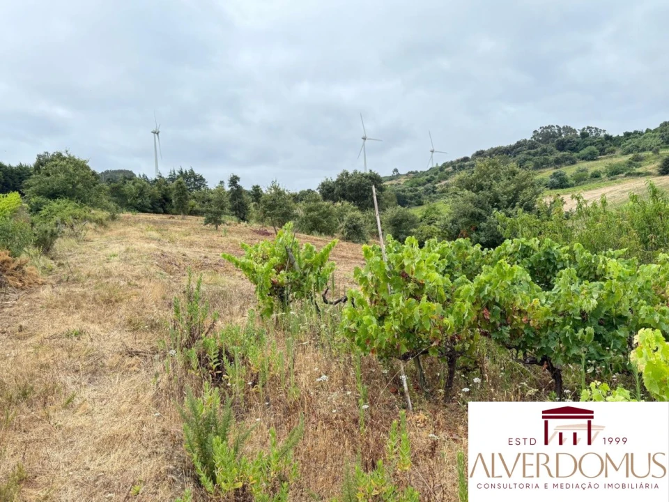 Terreno para Venda em Carvoeira e Carmões Foto 8