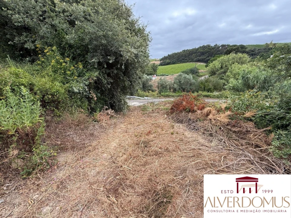 Terreno para Venda em Carvoeira e Carmões Foto 21