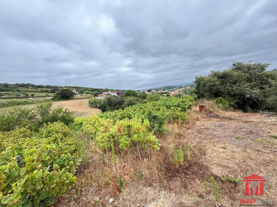 Terreno para Venda em Carvoeira e Carmões Foto 4