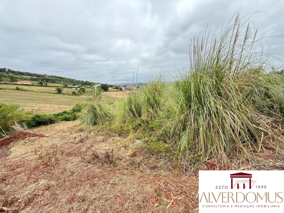 Terreno para Venda em Carvoeira e Carmões Foto 14