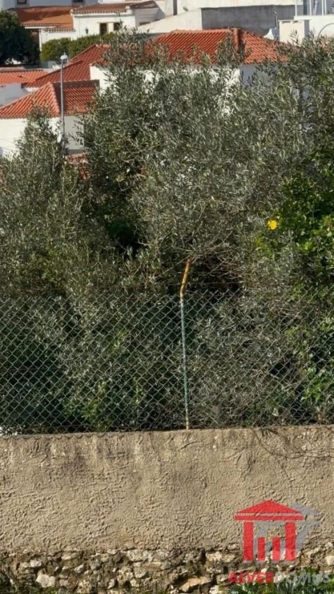 Terreno para Venda em Alcabideche