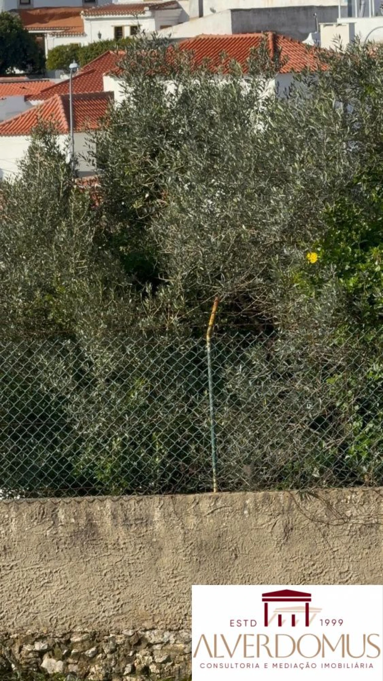 Terreno para Venda em Alcabideche Foto 7
