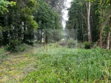 Terreno para Venda em Pardilho