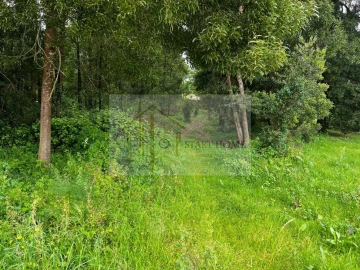 Terreno para Venda em Pardilho