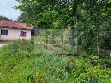 Terreno para Venda em Pardilho