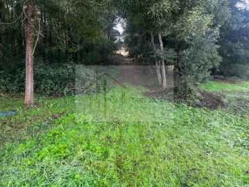 Terreno para Venda em Pardilho