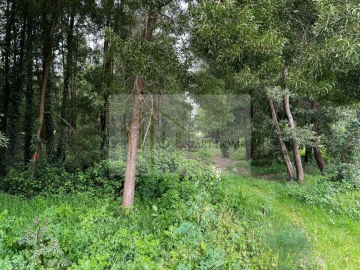 Terreno para Venda em Pardilho