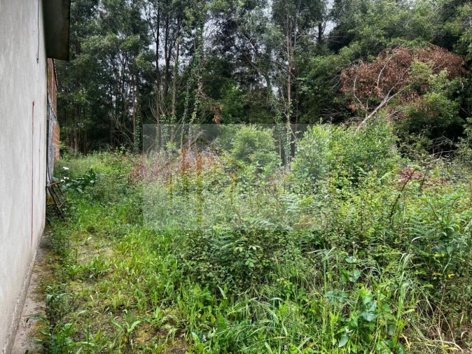 Terreno para Venda em Pardilho Foto 6